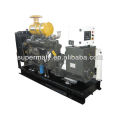 Digital ricardo diesel generator set for sale